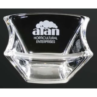 20464429 glass bowl award