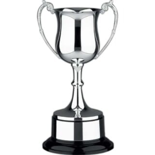 76 73726 trophy cup