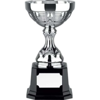 Euro trophy cup awards