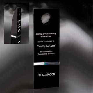 Wsfr412 freedom crystal award