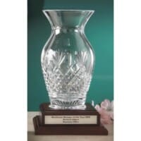Waterford killarney vase award